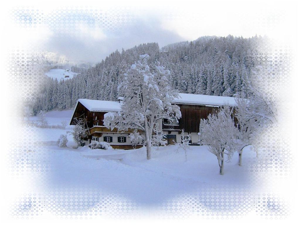 Aster Boutique & Aparthotel Fuegenberg